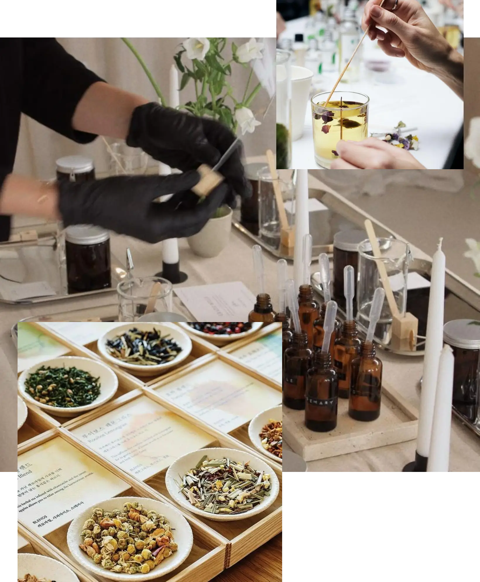 Evento - Aromaveda Candle Ritual